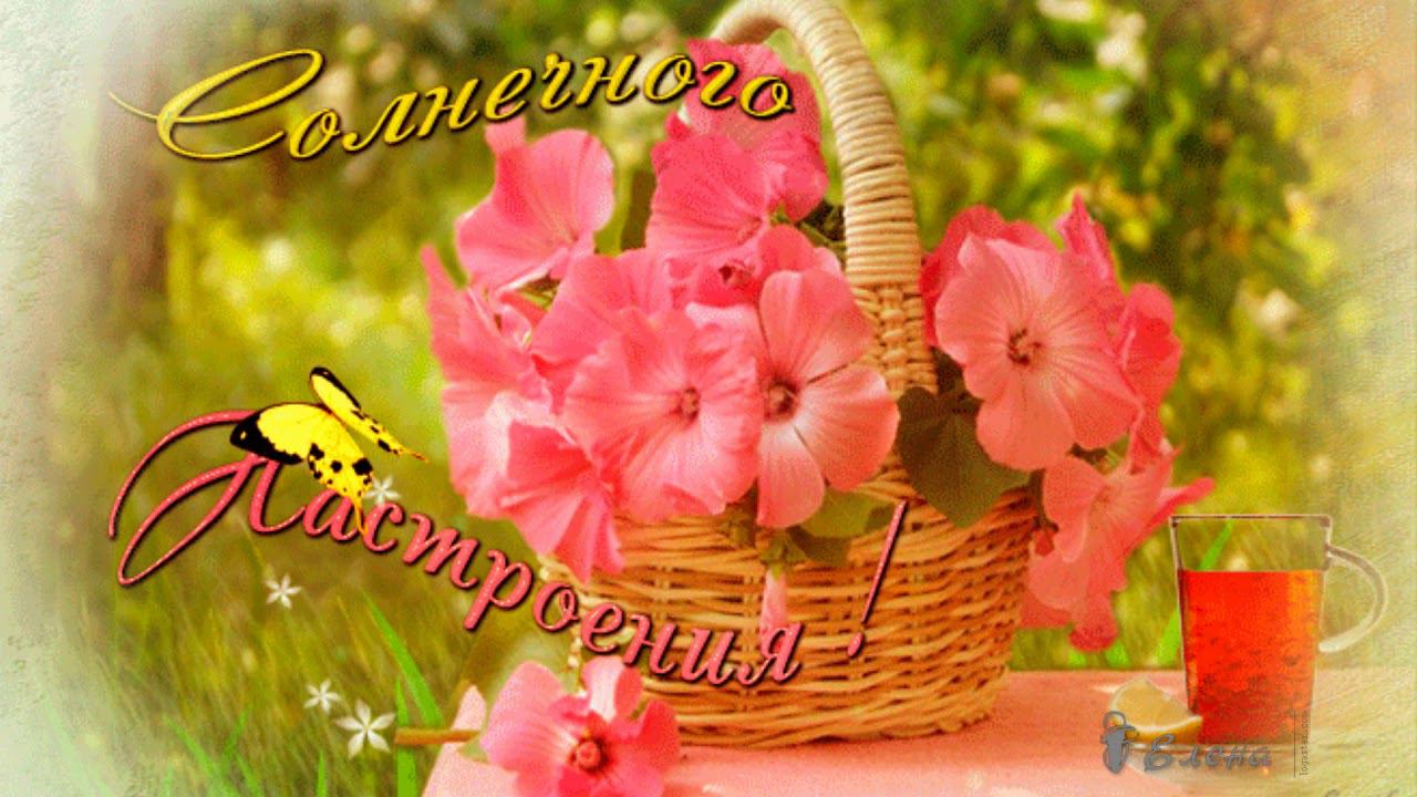 Так смеется мое ЛЕТО* С первым днем ЛЕТА, друзья*    С Днём ЗАЩИТЫ ДЕТЕЙ*