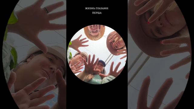 ЖИЗНЬ ГЛАЗАМИ ПЕРЦА )