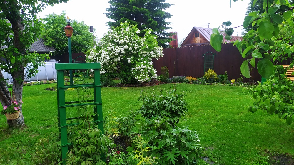 Дождливый день.mp4