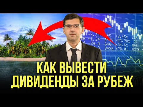 Как россиянину вывести за рубеж дивиденды? | Советы юриста