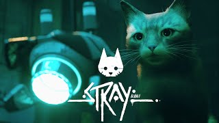 КОТЯЧИЙ КИБЕРПАНК _#1_ Stray