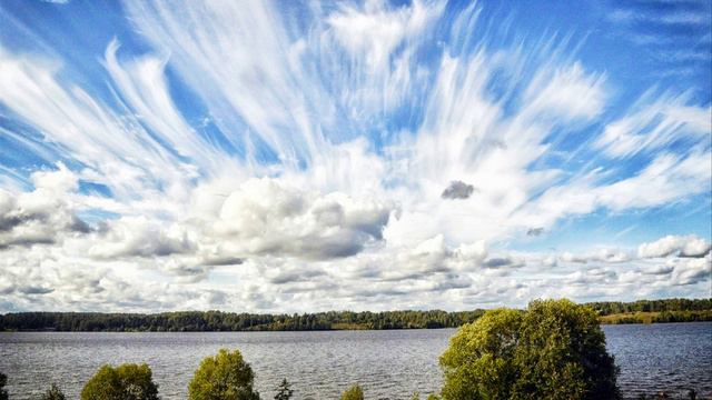 4 сеанс. онкология