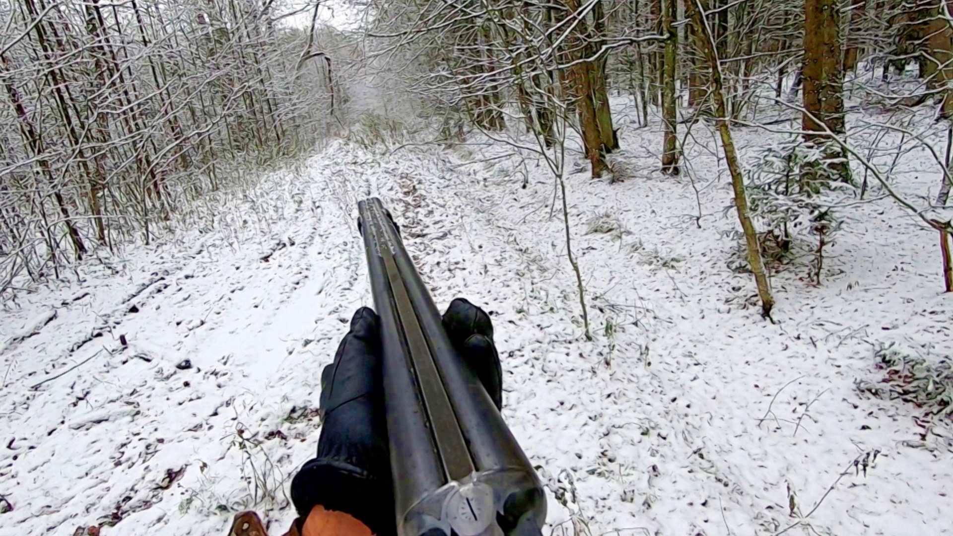 Загонная ОХОТА. ПЕРВЫЙ СНЕГ. 20 ноября 2022г.