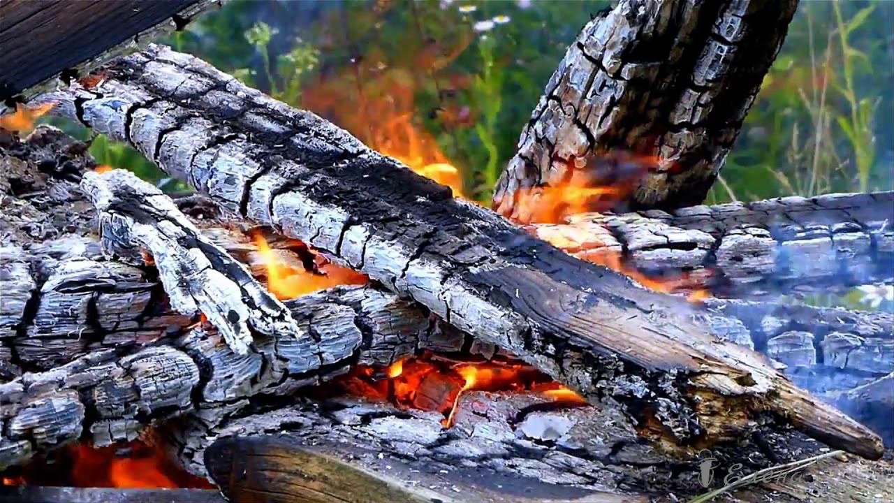 Догорают осени костры*