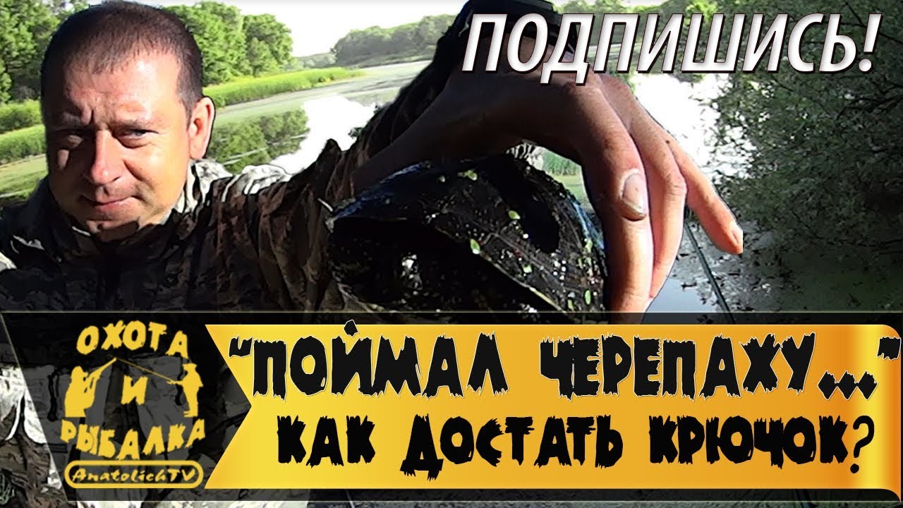 Поймал черепаху на рыбалке, что делать? Спасение черепахи!