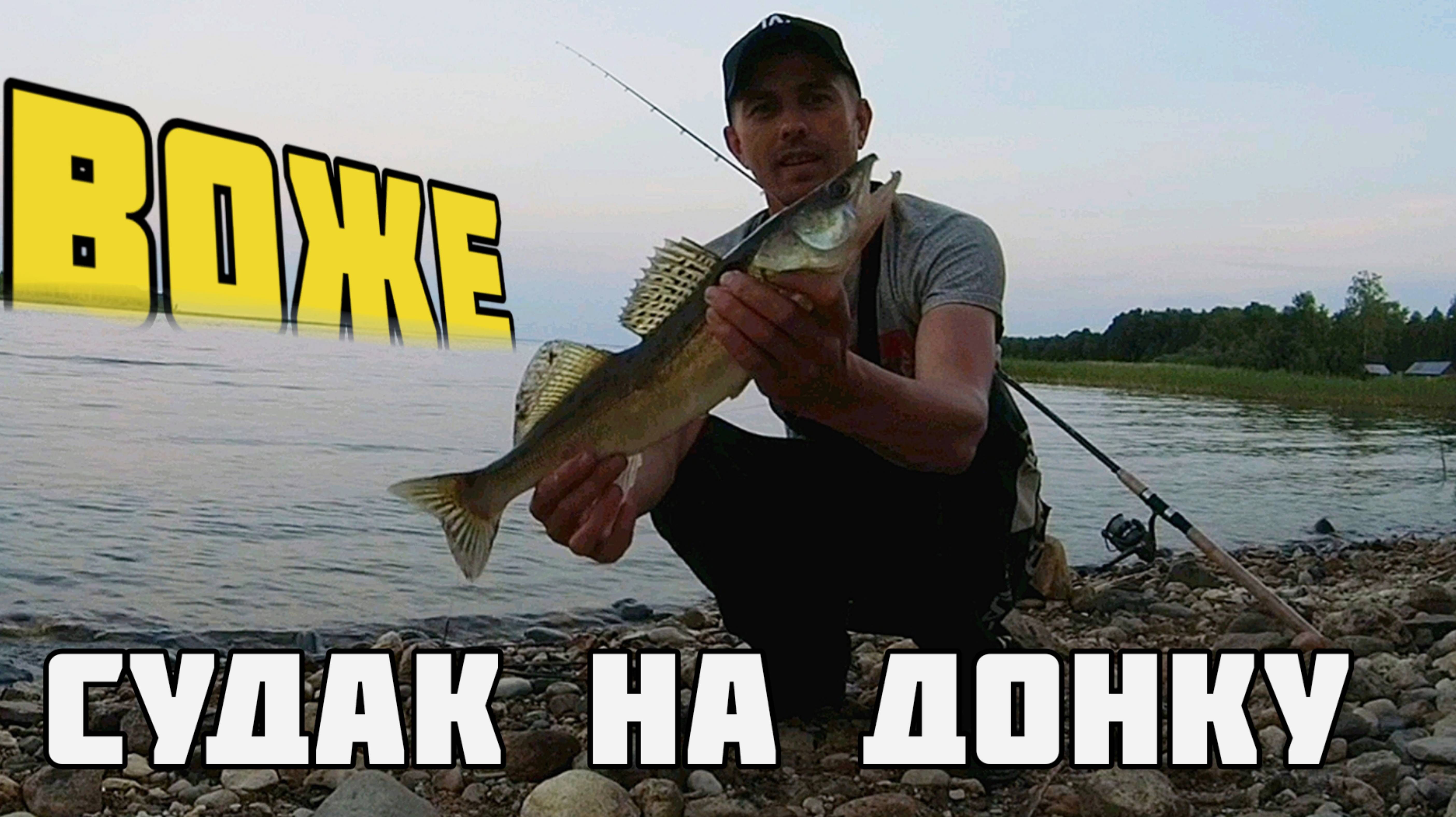 Катушка трещит, удочка гнеться. Ловля судака на донку