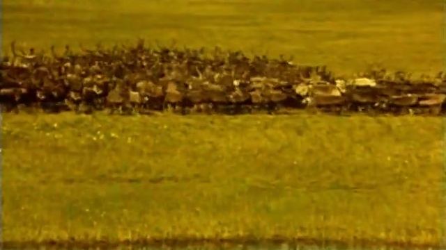 _Север служит северу_, 1990 год, Якутия..mp4
