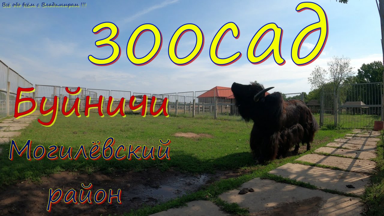 Зоосад. Буйничи. Могилёвский район.