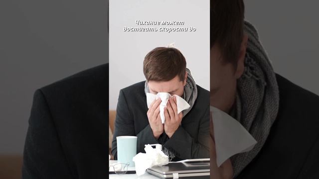 Факт про чихание