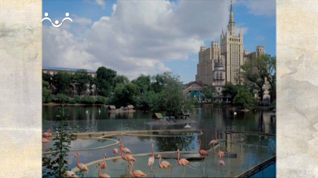 Светопись. Николай Рахманов