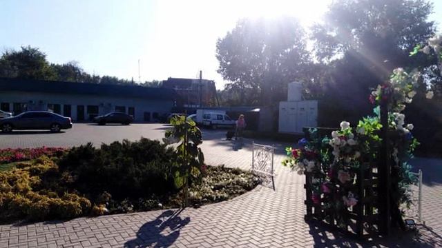 Отправка сына в оздоровительный лагерь на море. Первые шаги к самостоятельности. Ростовская область