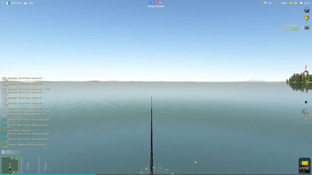 Сингиль, редкие рыбы в игре Трофейная рыбалка 2, локация Лиман