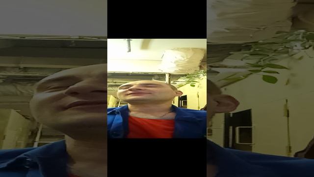 Страсть и последствия шутка #юмор #прикол #смех #забава #анекдот #кинул #мимо