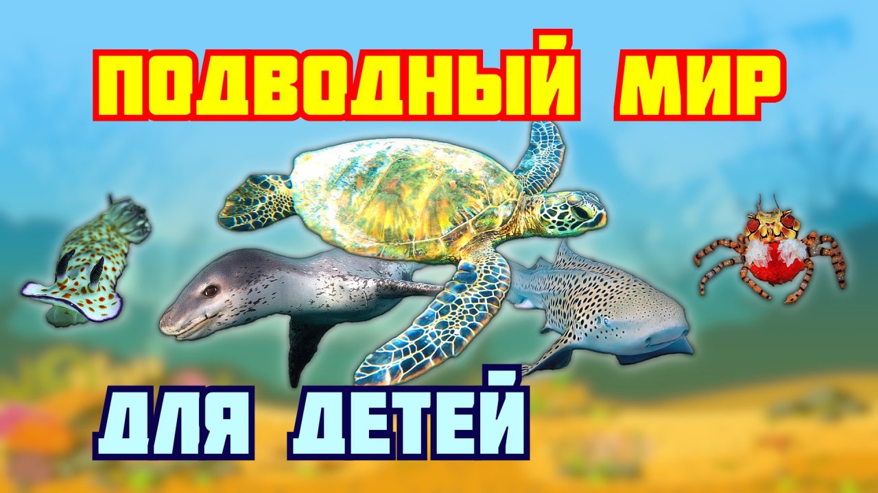 ПОДВОДНЫЙ мир для детей. Морские животные. Развивающие мультики