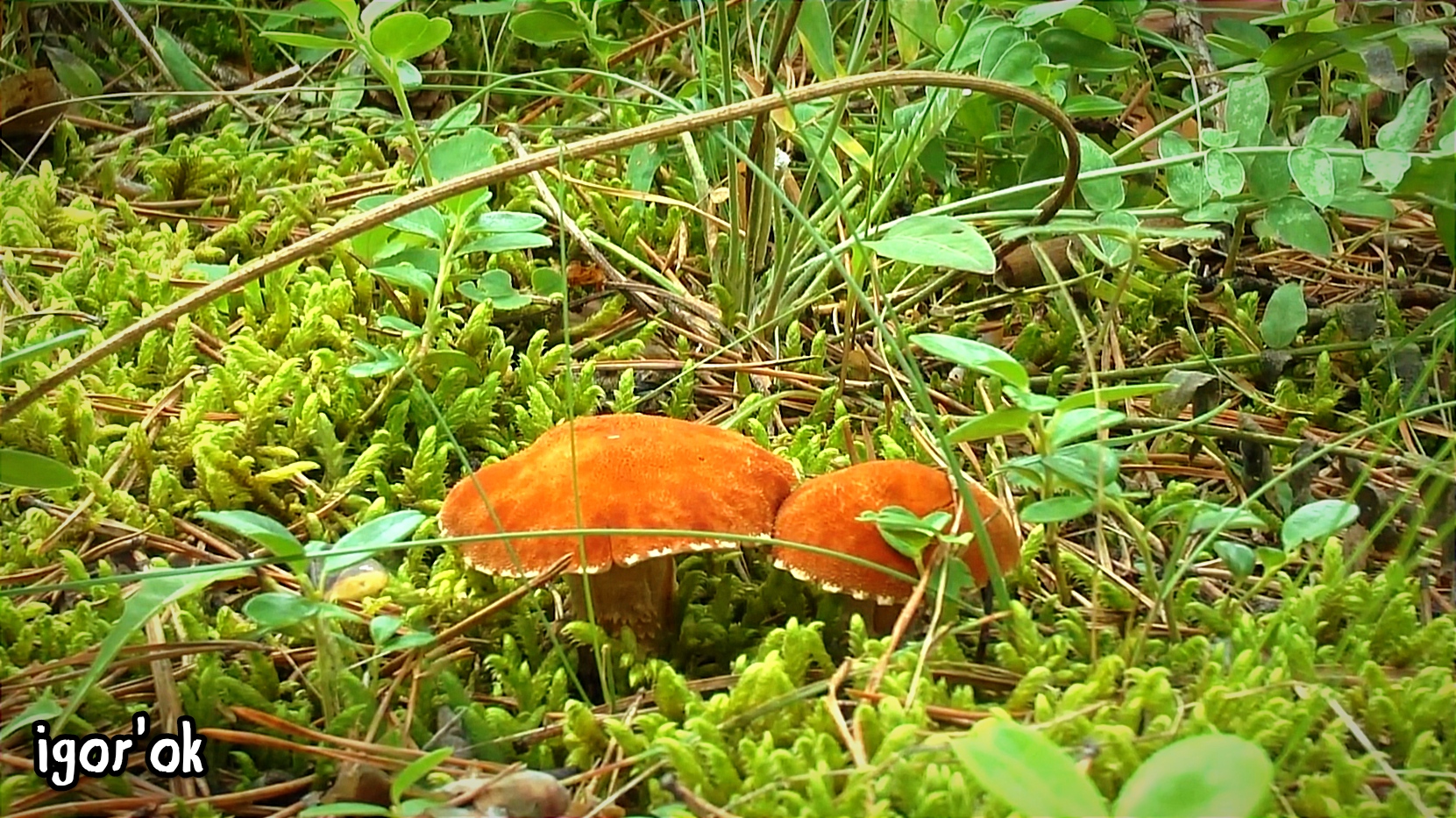 Это не рыбалка))