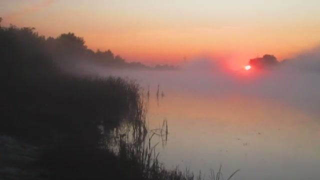 Восход солнца сквозь осенний туман!