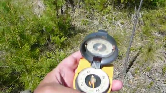 Ориентирование в тайге по компасу (продолжение) 20