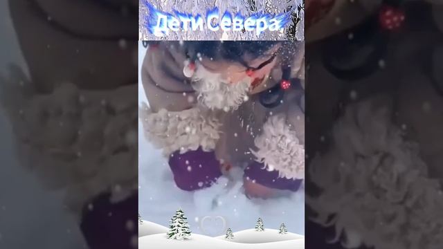 Дети Севера