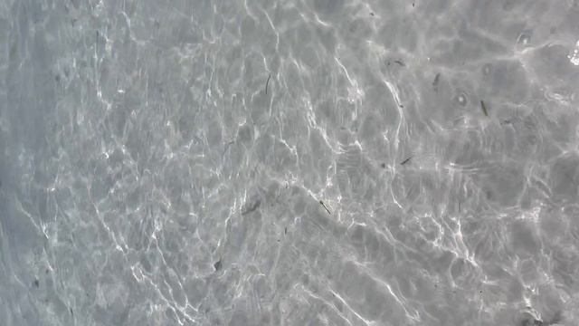 Наш отпуск на белоснежном пляже Диани-Бич, Кения | Неповторимые впечатления