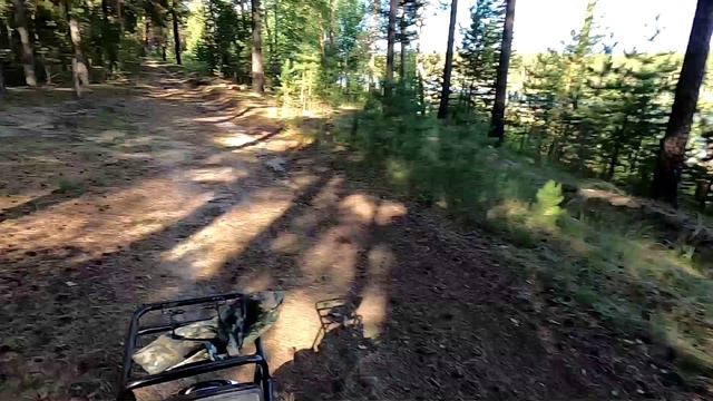 Прогулка на Рейсер Турист в лес, на озеро и пруд.