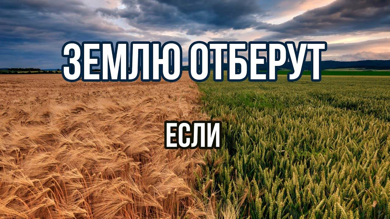Землю отберут если... | Рассматриваем аренду и собственность
