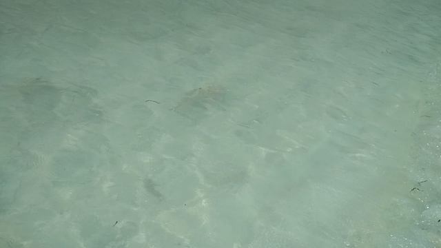 Детёныши акул у самого берега на пляже!Маафуши!Мальдивы!