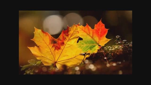 1973 Любимые песни СССР