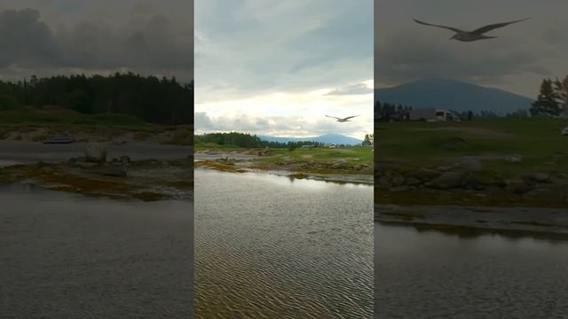 Короче говоря, Хичкок – пушка