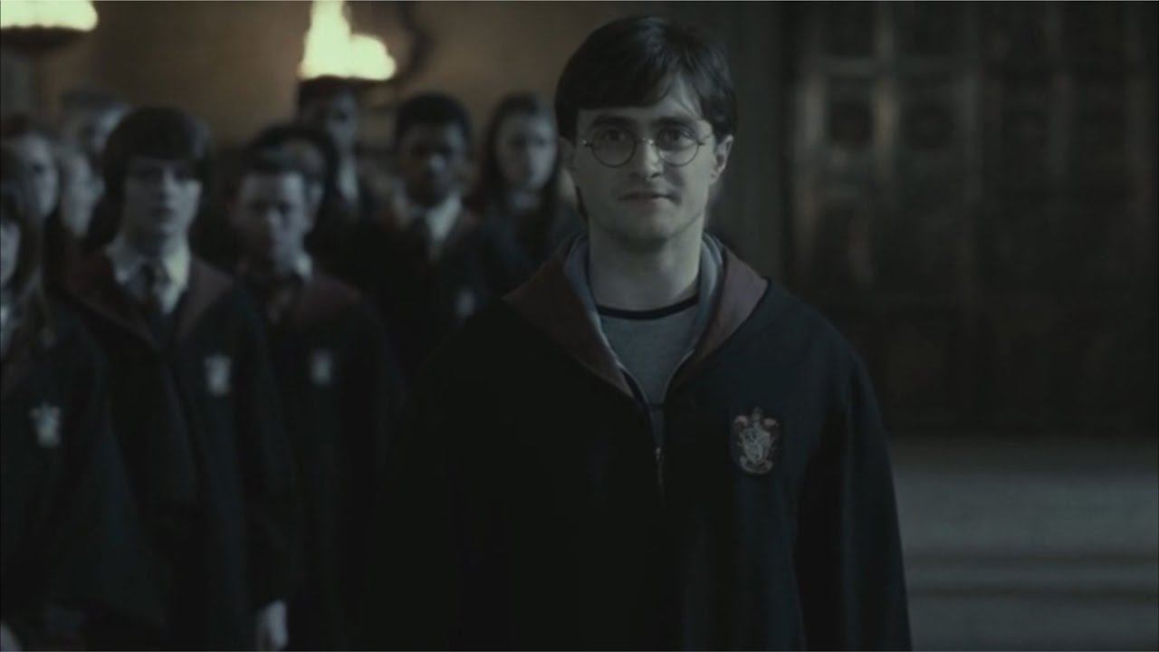 Гарри "Паладин" Поттер  (Гарри Поттер, Эпидемия "Паладин")