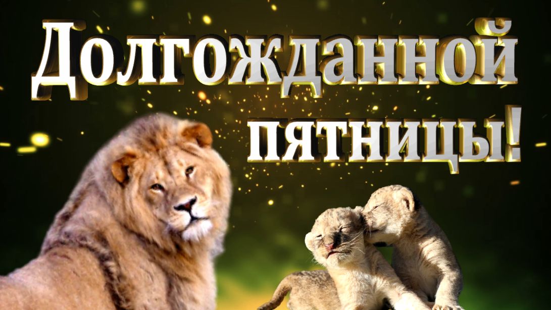 Долгожданной пятницы!