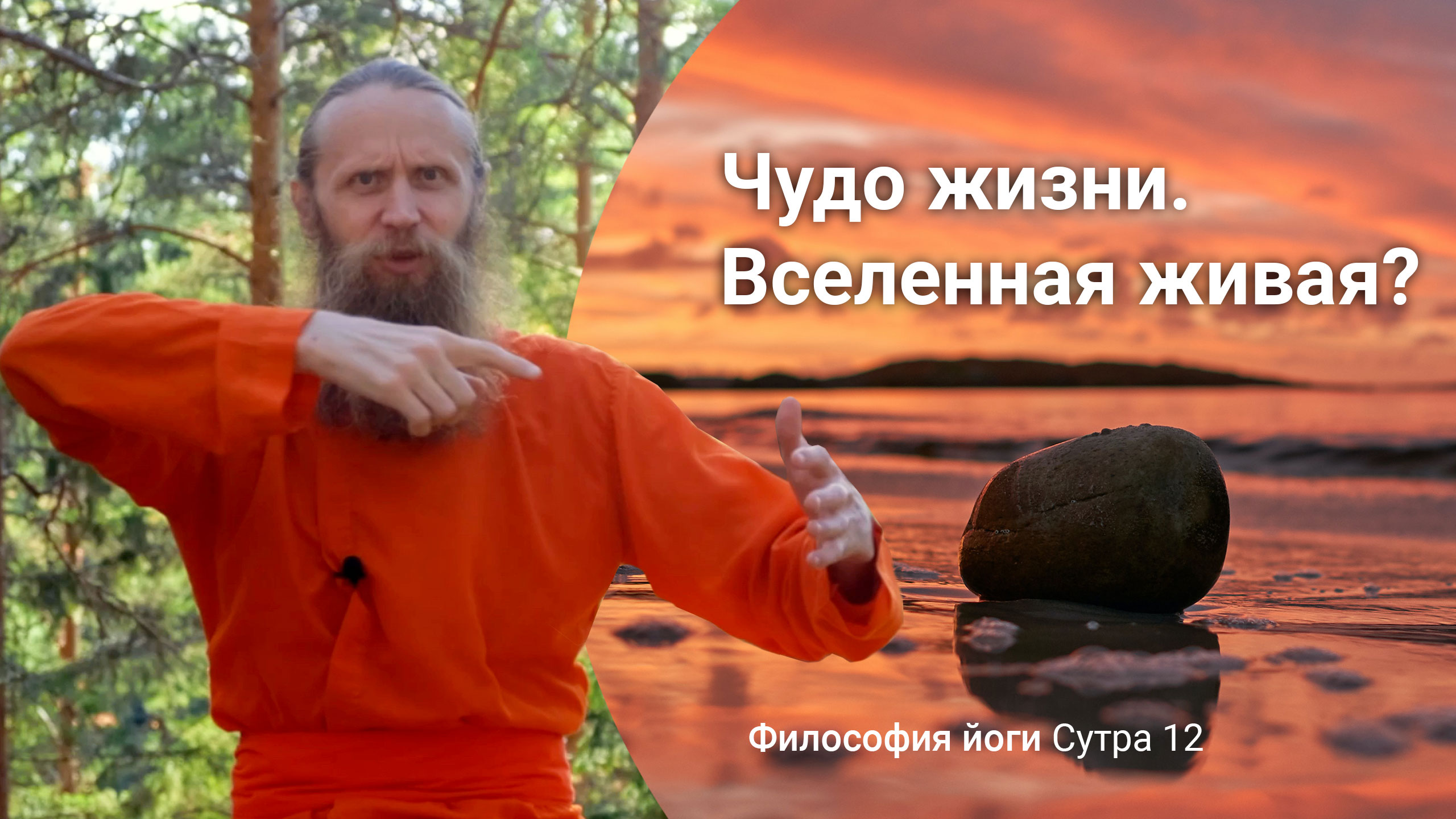 Жизнь принесли пришельцы? Может ли камень стать человеком? Что говорит йога | Сутры на санскрите.№12