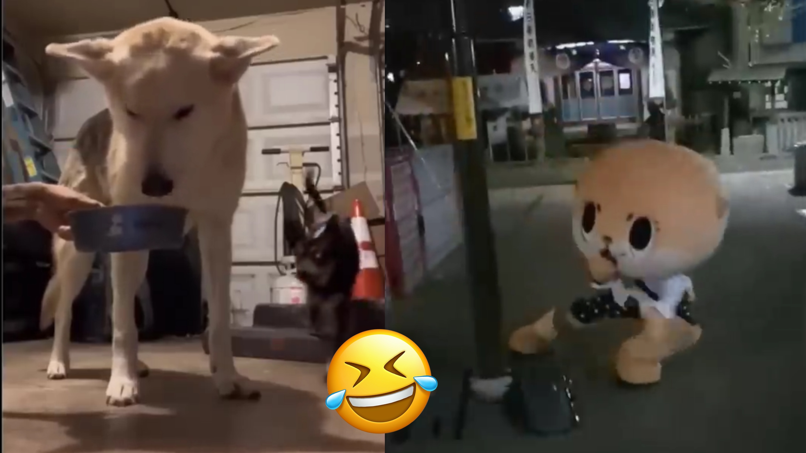 Попробуй не засмеяться) Подборка смешных видео часть 8