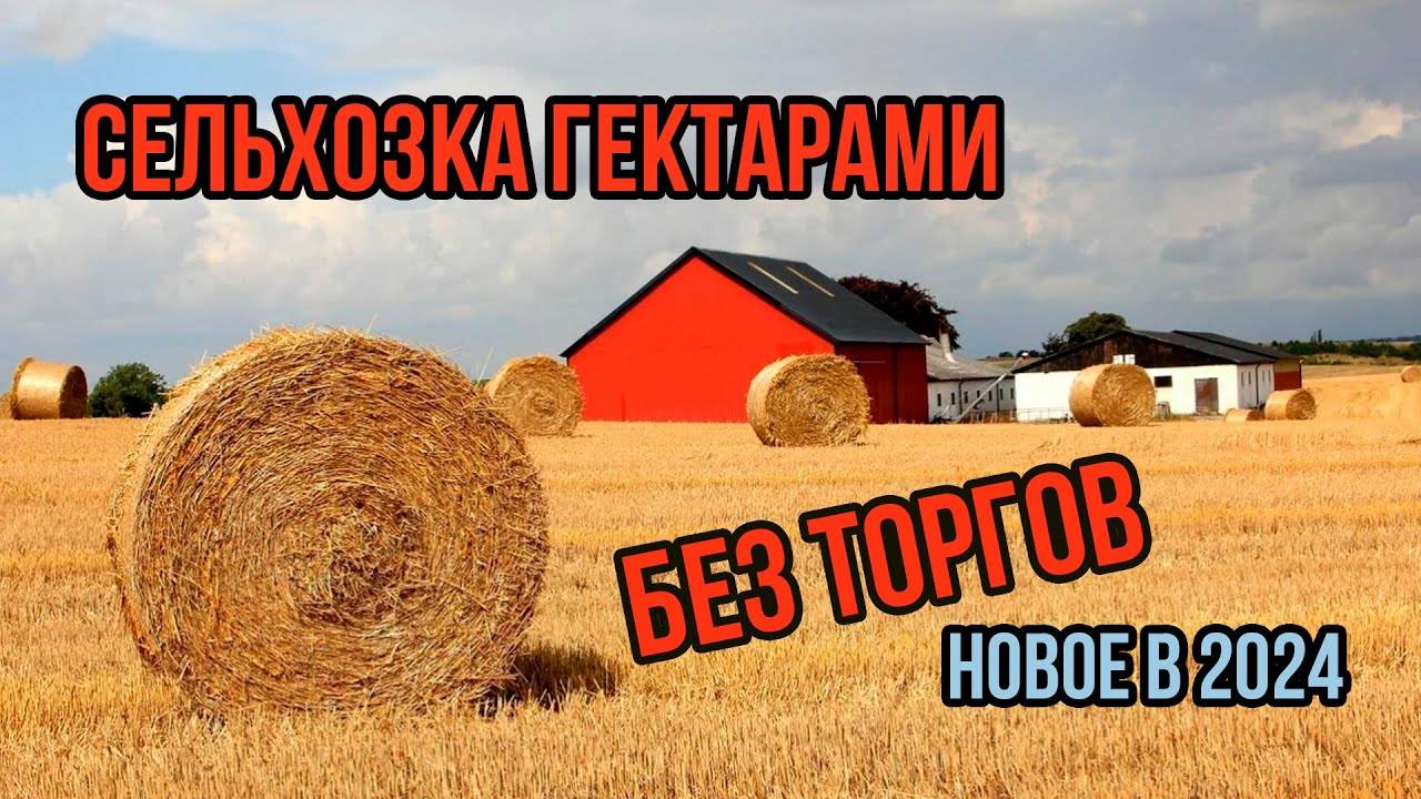 Оформляем сельхозку гектарами без торгов за копейки| ЛПХ и КФХ | Новое в законодательстве 2024