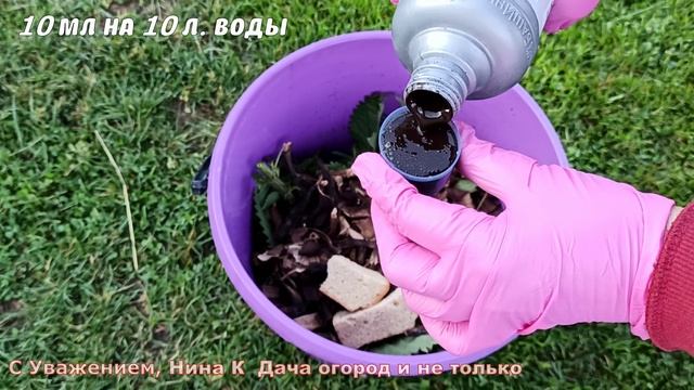 Огурцы Кормлю этим весь сезон и собираю Урожай вёдрами✅ Важная подкормка для Огурцов в Июле,Августе