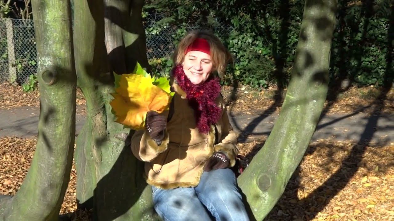 германия осень 2012 1