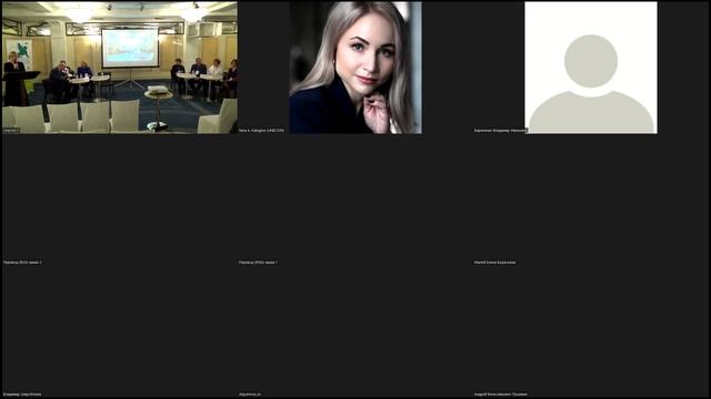 Бухгалтерский учет, бизнес-анализ и аудит - информационные драйверы достижения целей устойчивого раз