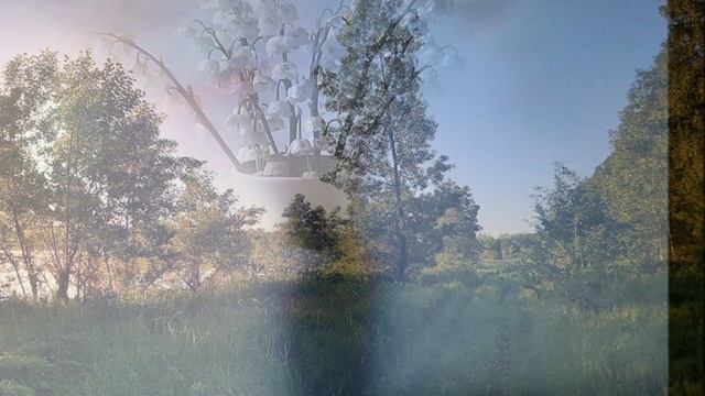 Александр Скрябин. "ПОЭМА МЕЧТЫ"... (Фото Александра Шадракова (Кемерово)).wmv