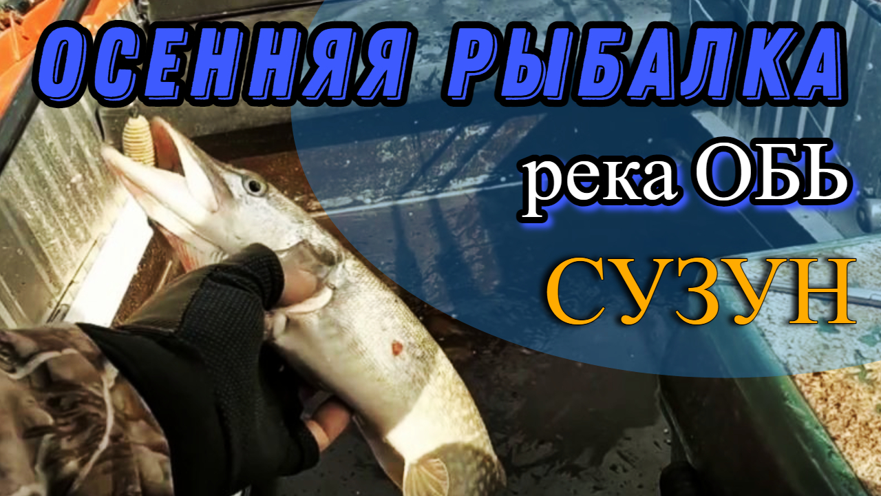 Осенняя рыбалка на Оби (Сузун) 4 сентября 2022 г. Река засыпает.