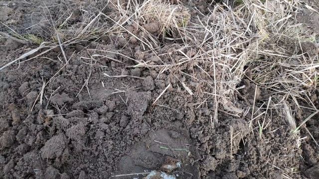 Нашли немецкий самолет времен ВОв. Часть 3