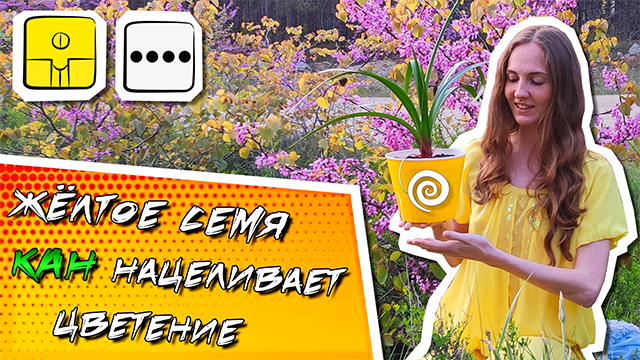 КИН 4. ЖЁЛТОЕ САМОСУЩНОЕ СЕМЯ | ТЕОРИЯ И ПРАКТИКА КАЛЕНДАРЯ МАЙЯ | Часть 4