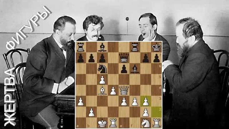 В.Стейниц-Э.Ласкер： Позиционная жертва фигуры! Шахматы.