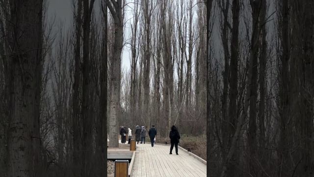 Никак не нарадуюсь новому парку #Эльтавский лес ???вернее, то что от него осталось?