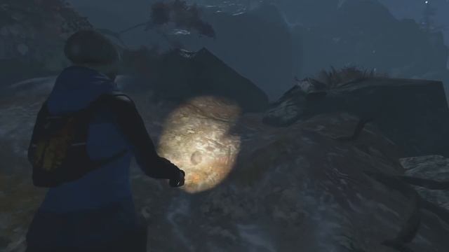 Through The Woods (платина)