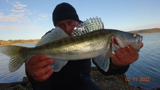 Судак в ноябре-НА ЖИВЦА.2022.