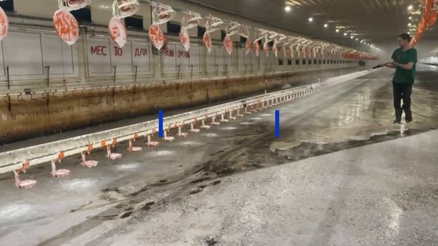 Процесс уборки и дезинфекции птичника после выселения птицы