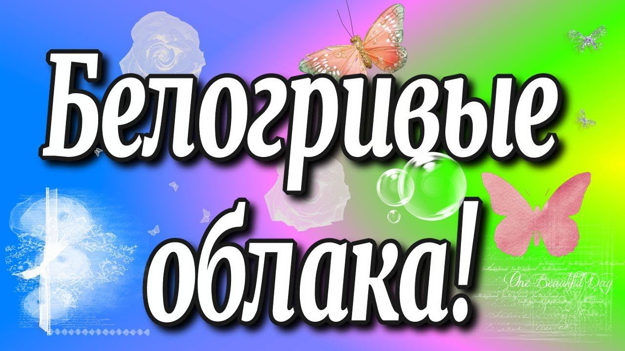 Белогривые ⛅облака/ по дороге с облаками/ голубое небо/ shorts ♻️[Olga Pak]