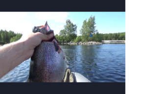 РЫБАЛКА НА КРАСНУЮ РЫБУ _ ЛОВЛЯ ФОРЕЛИ НА СПИННИНГ