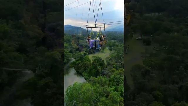 Адреналиновый завтрак #Адреналиновый #завтрак #short #Adrenaline #breakfast