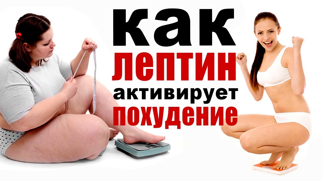 Что такое лептин