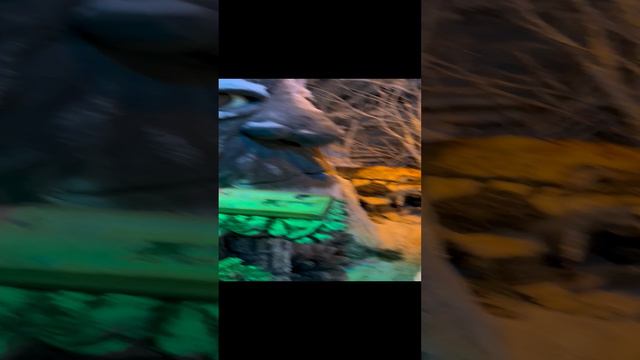 Санкт - Петербург 2024